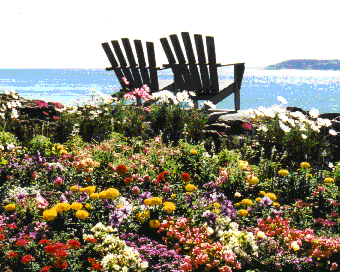 Adirondack chairs and flower garden.