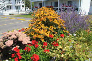 flowers-ocean-point-inn