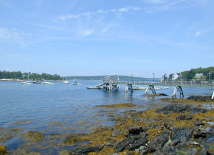 pier1