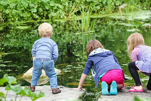 Kids on the Pond